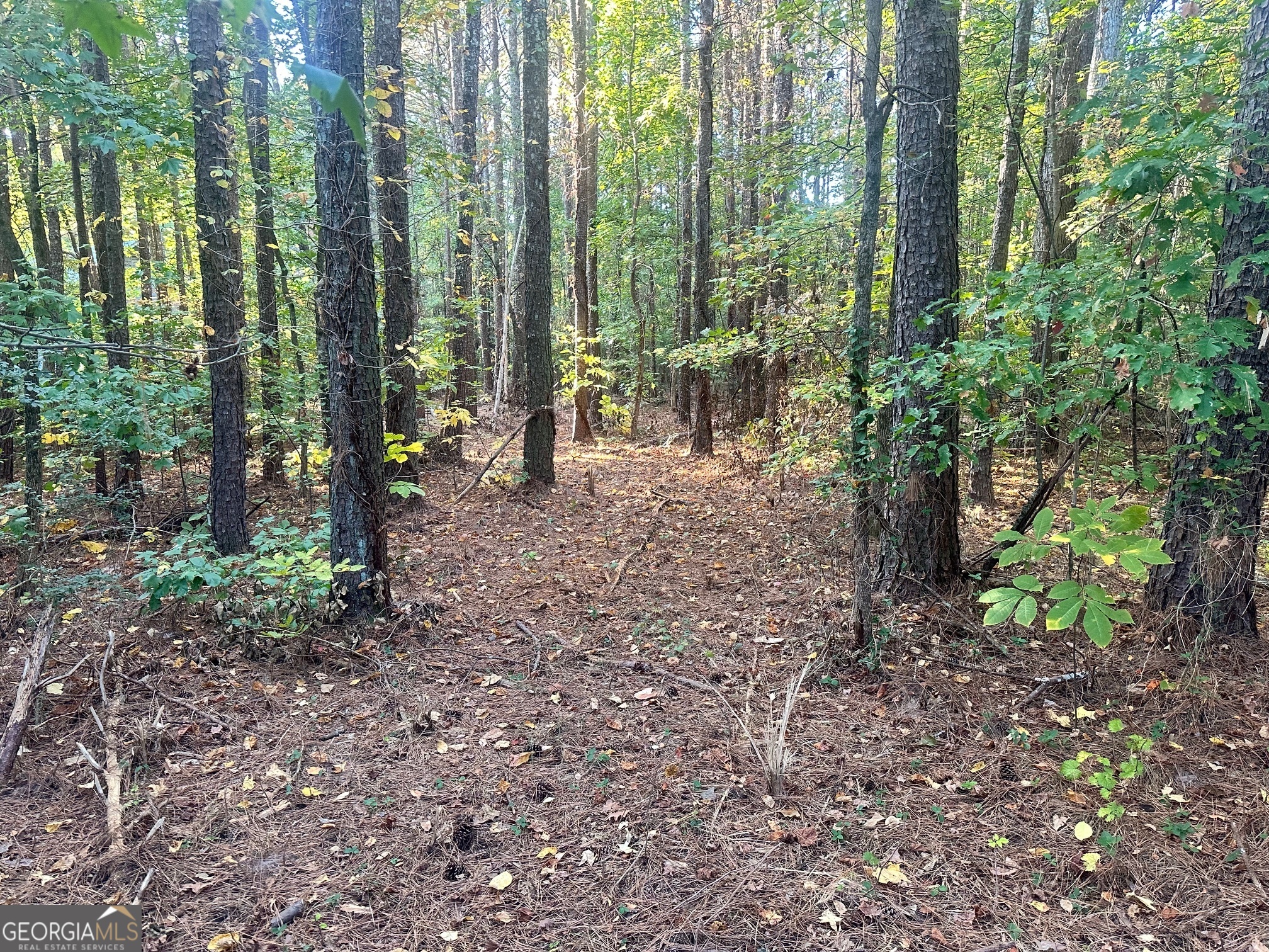 0 Highway 411 NE Rydal GA 30171