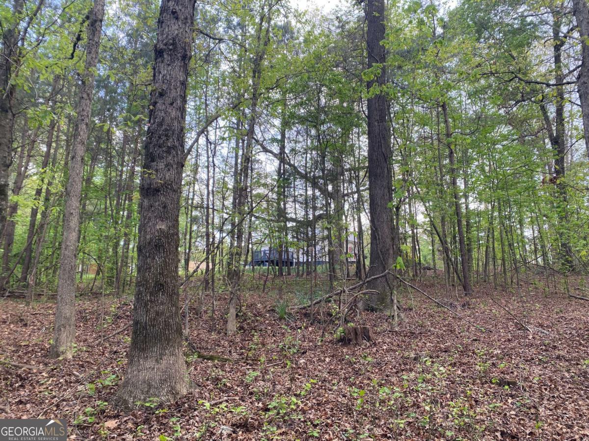 164 Glenn Carrie Road Hull GA 30646
