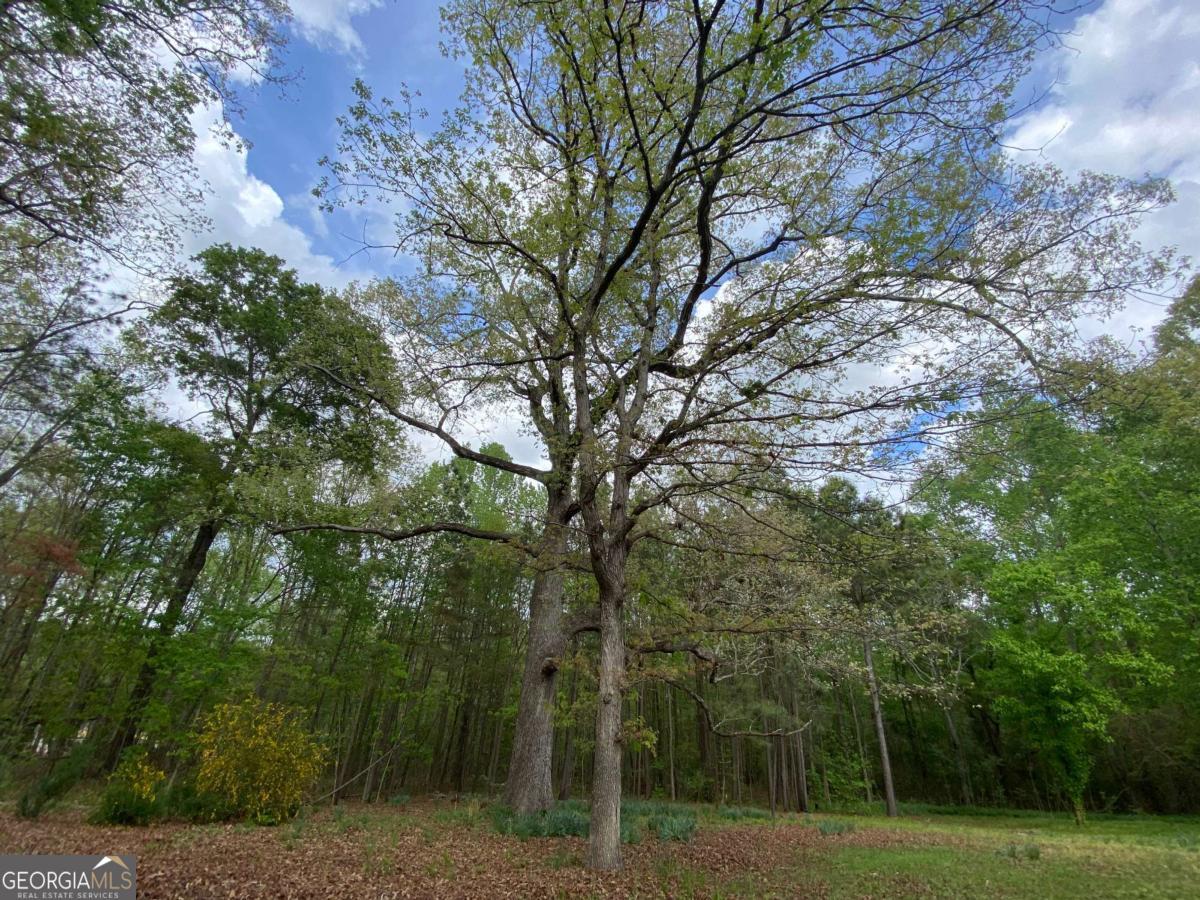 164 Glenn Carrie Road Hull GA 30646