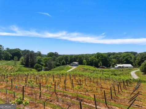 2317 Highway 382 Ellijay GA 30540