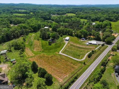2317 Highway 382 Ellijay GA 30540