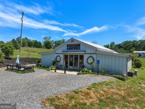 2317 Highway 382 Ellijay GA 30540