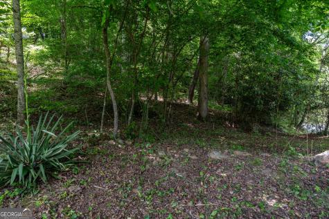 3675 Us 19 Marble NC 28905