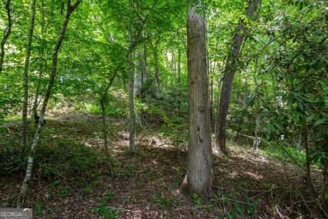 3675 Us 19 Marble NC 28905