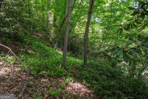 3675 Us 19 Marble NC 28905