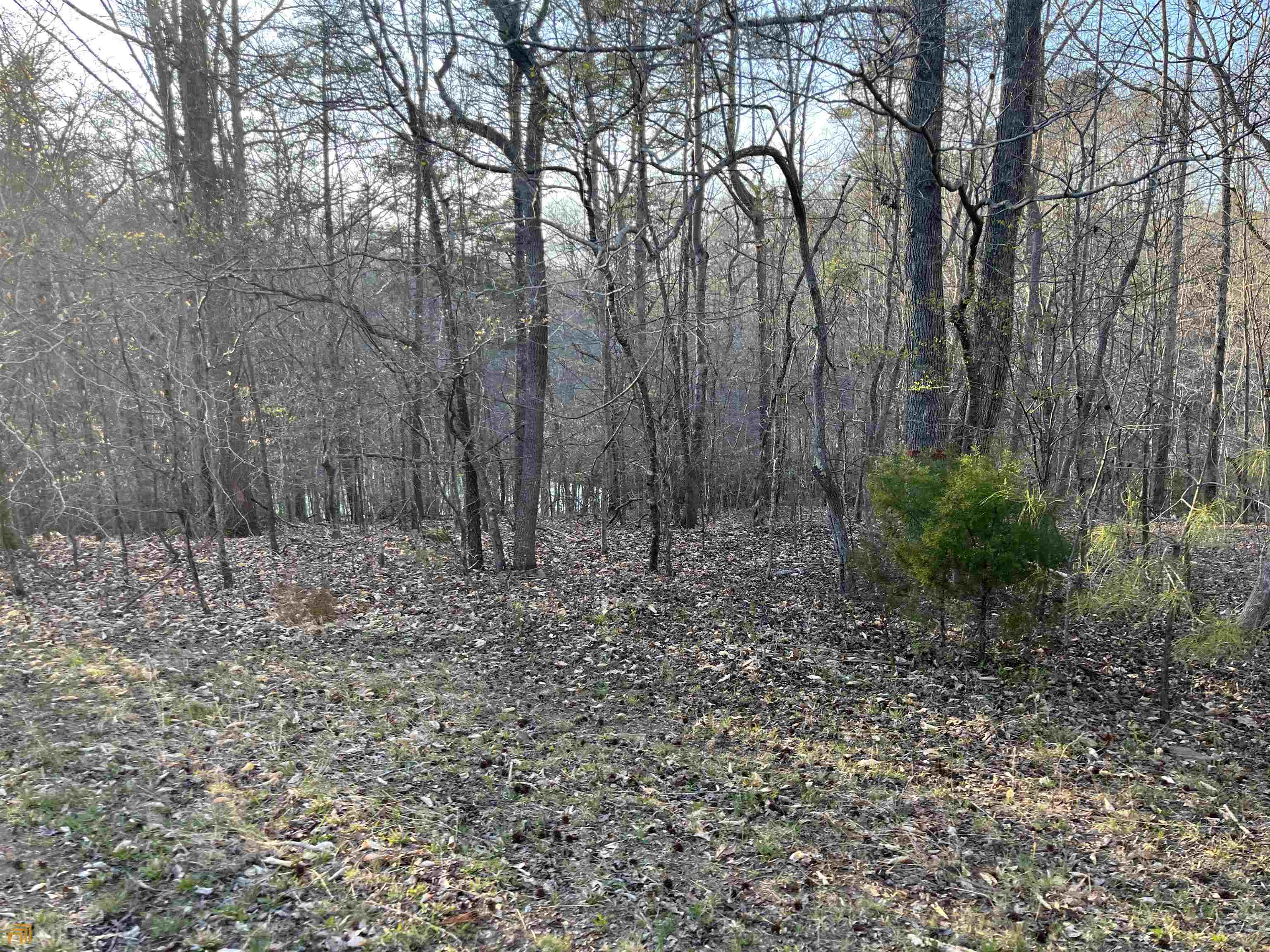 3720 Mcever Road Oakwood GA 30566
