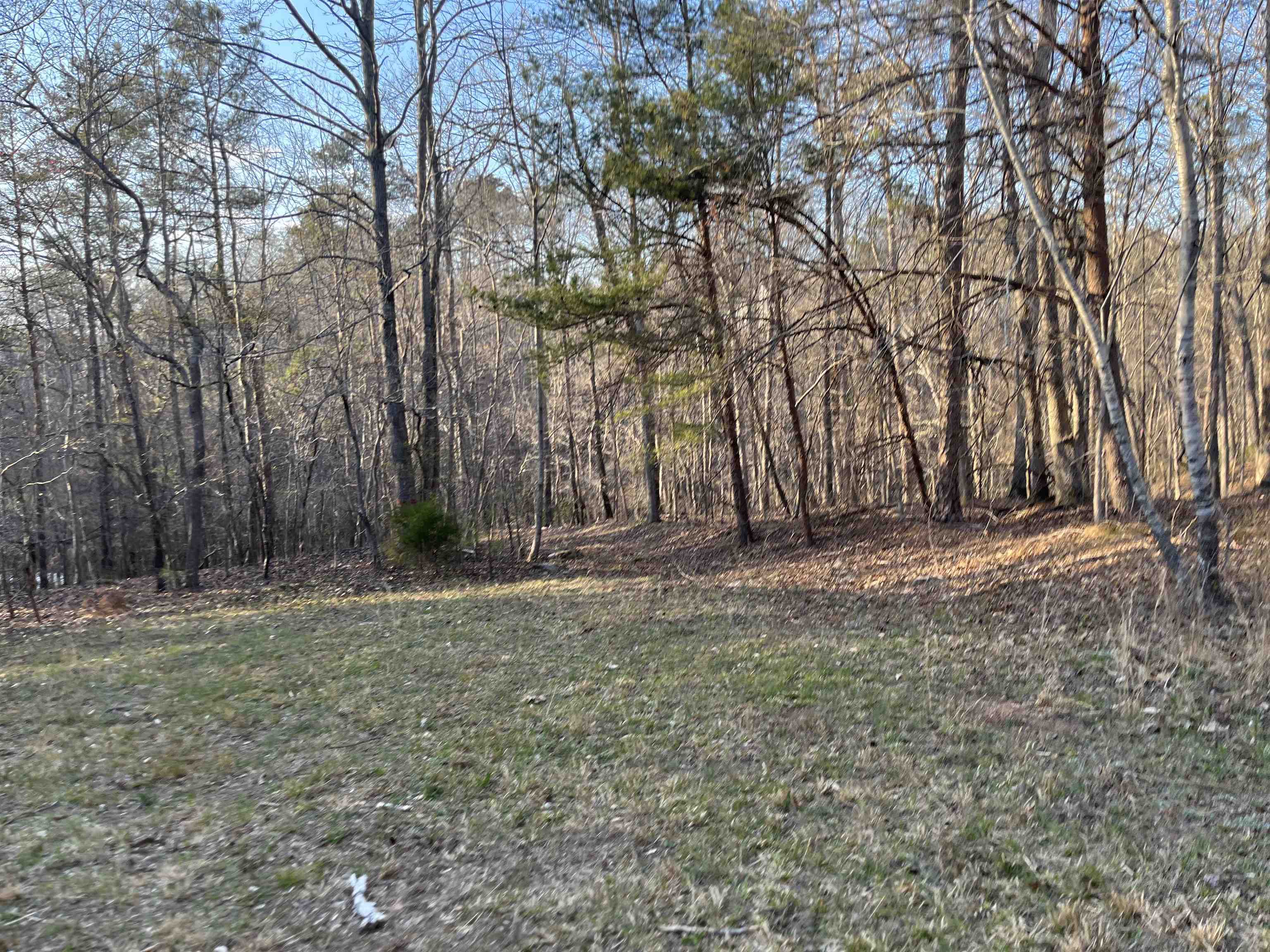 3720 Mcever Road Oakwood GA 30566