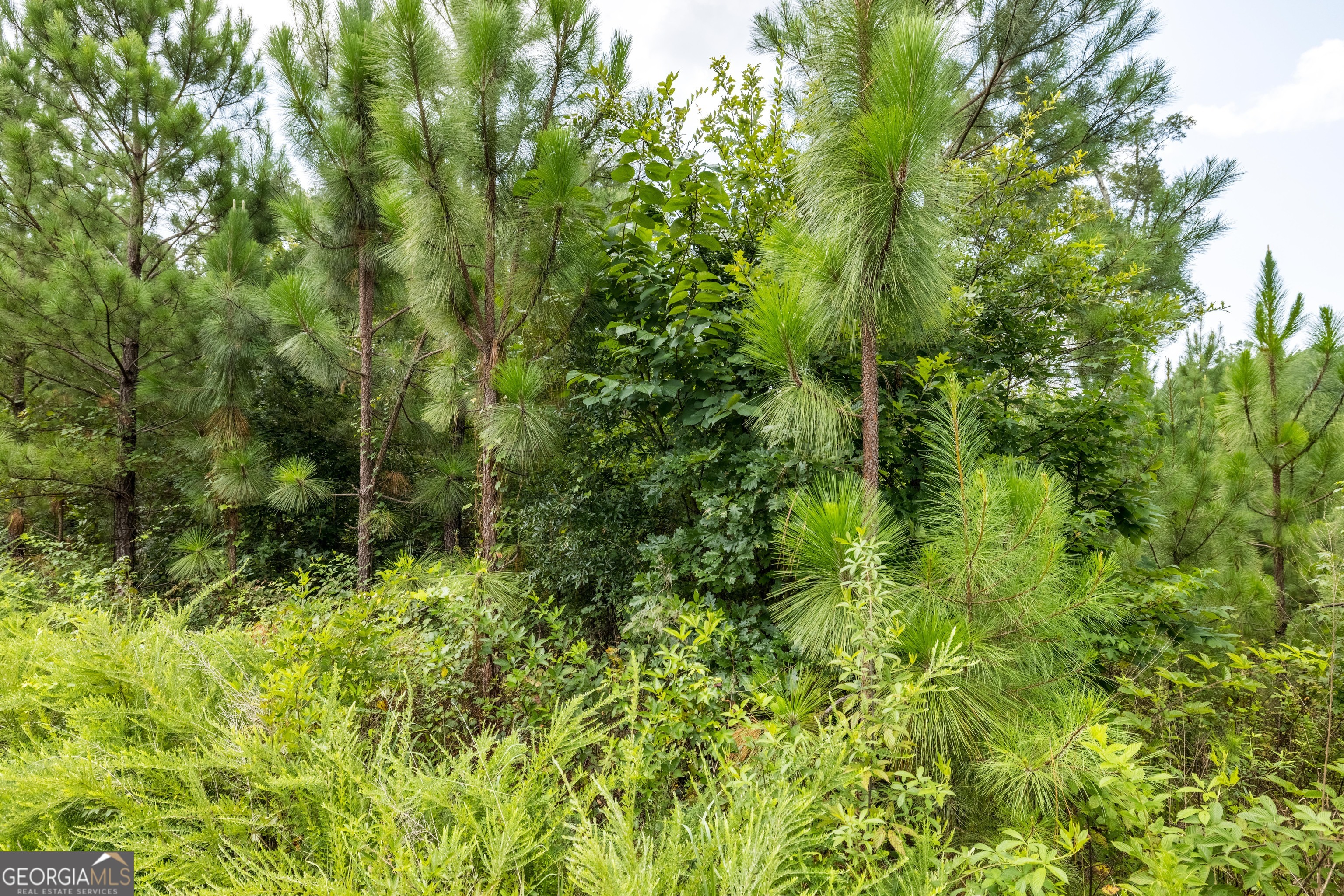 36 Stargazer Trail NW Rome GA 30165