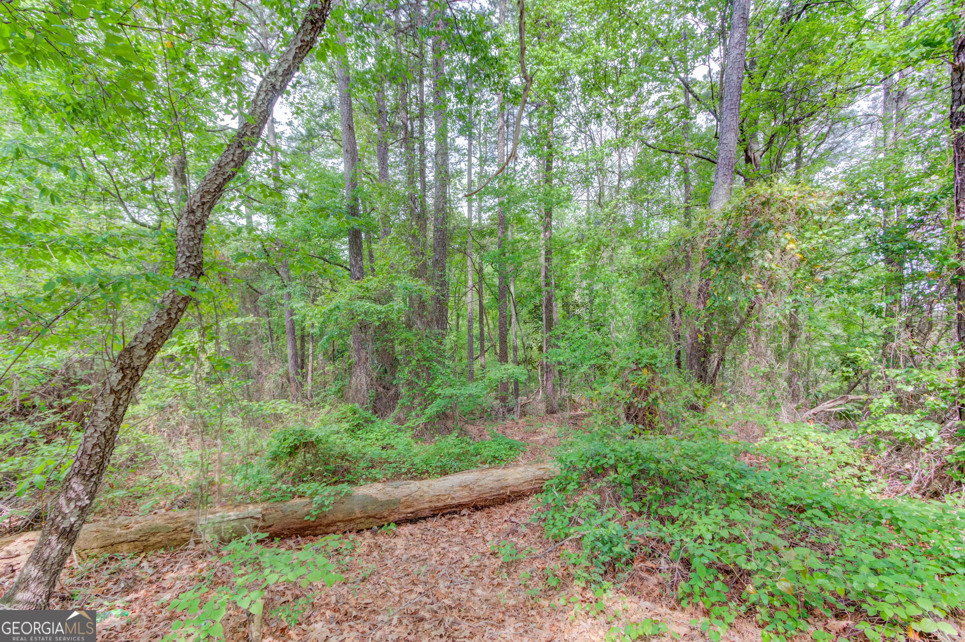 925 Dogwood Road Snellville GA 30078
