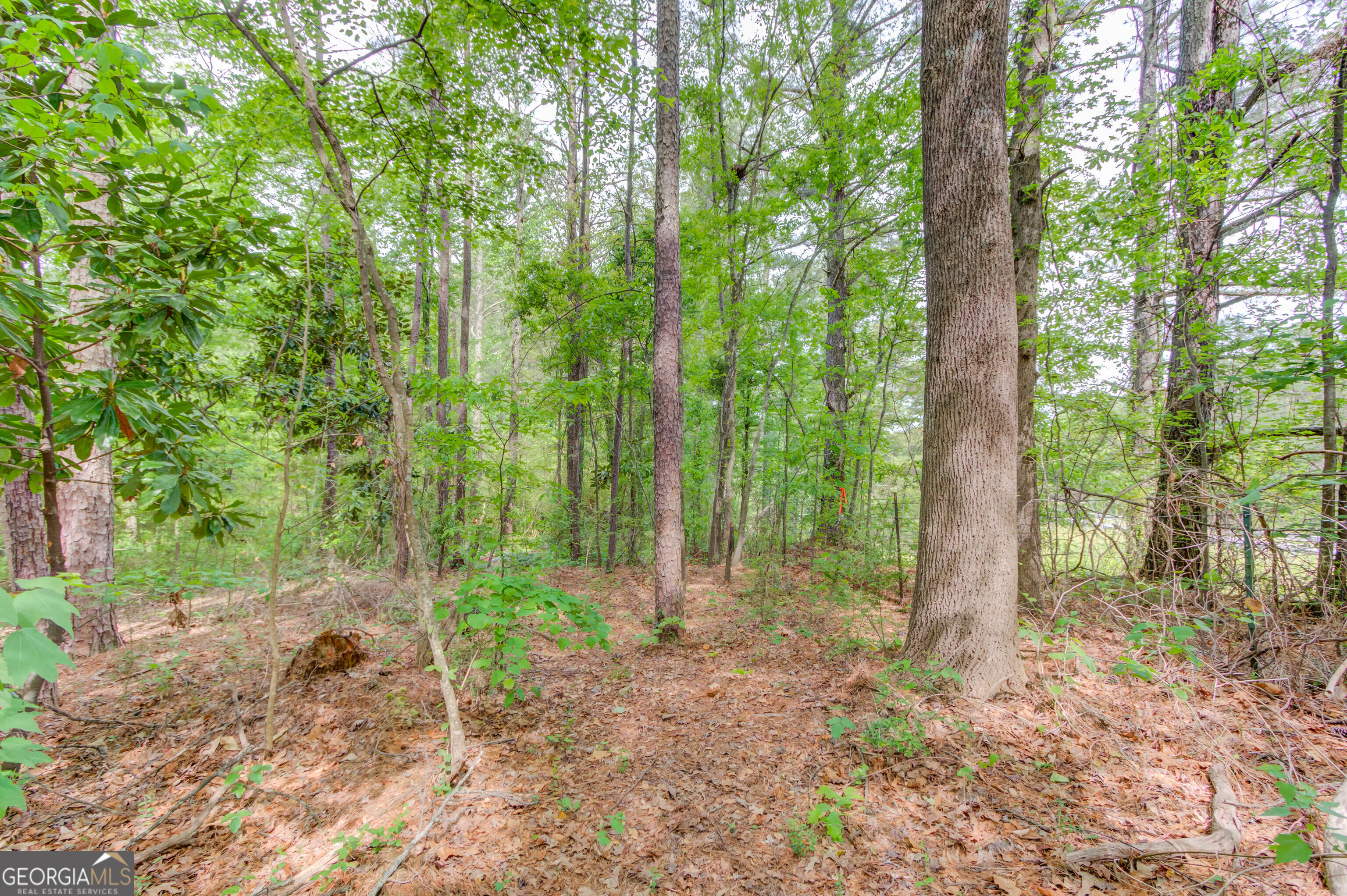 925 Dogwood Road Snellville GA 30078