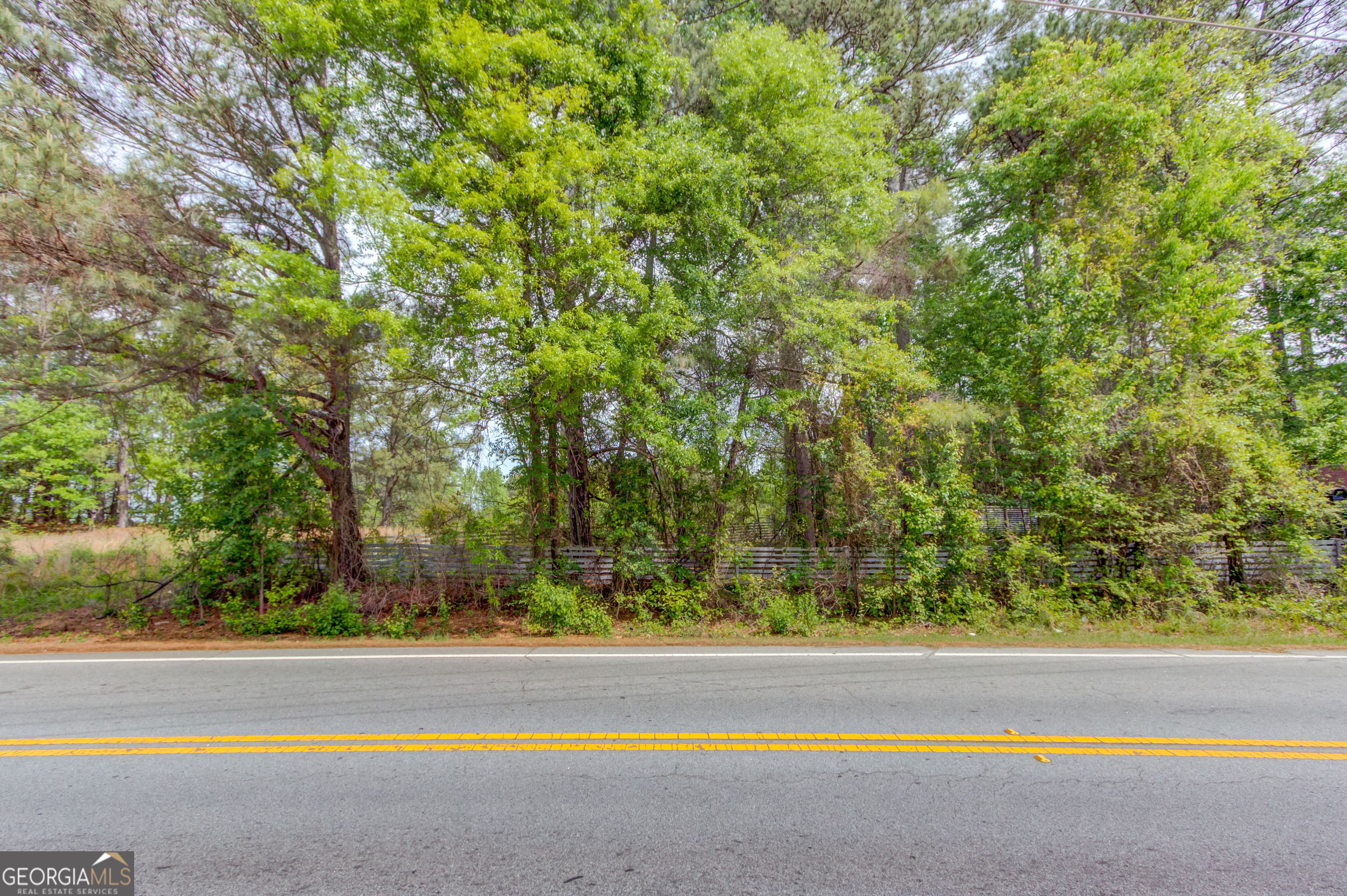 925 Dogwood Road Snellville GA 30078