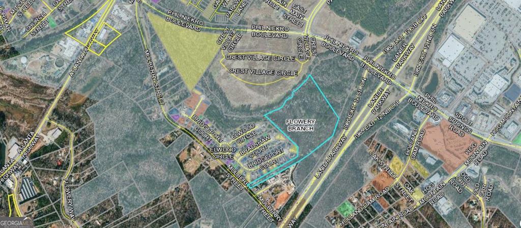 0 Phil Niekro Boulevard Flowery Branch GA 30542