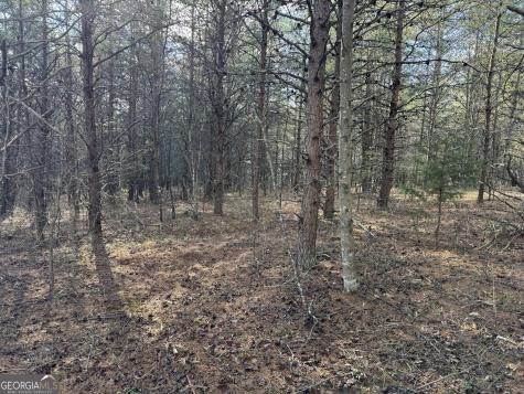 0 Appalachian Parkway Cleveland GA 30528