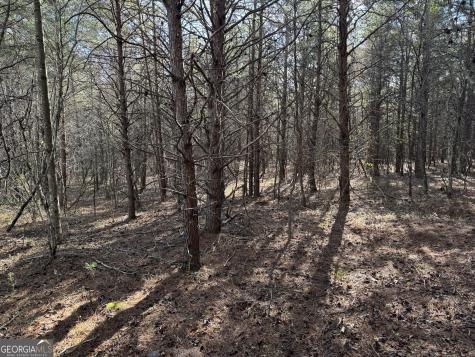 0 Appalachian Parkway Cleveland GA 30528
