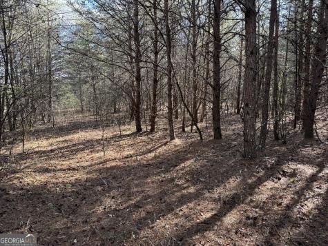 0 Appalachian Parkway Cleveland GA 30528