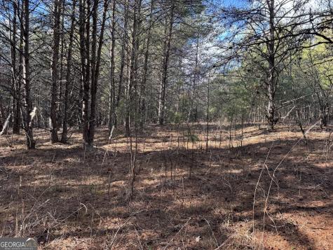 0 Appalachian Parkway Cleveland GA 30528