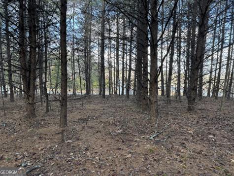 0 Appalachian Parkway Cleveland GA 30528