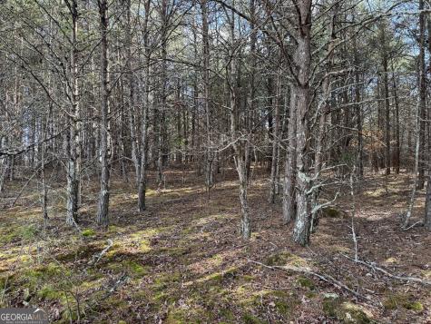 0 Appalachian Parkway Cleveland GA 30528