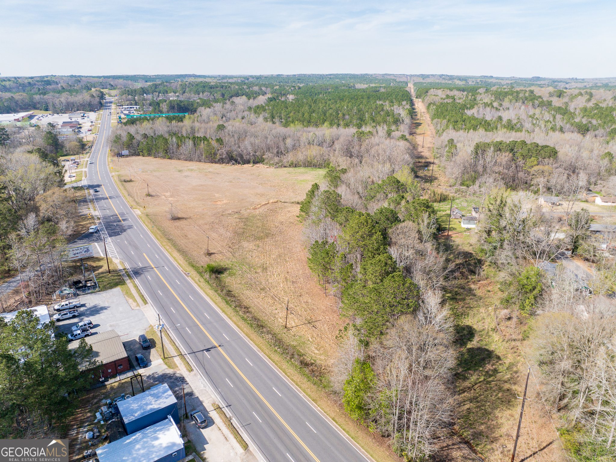13.27 Acres Roosevelt Highway Manchester GA 31816