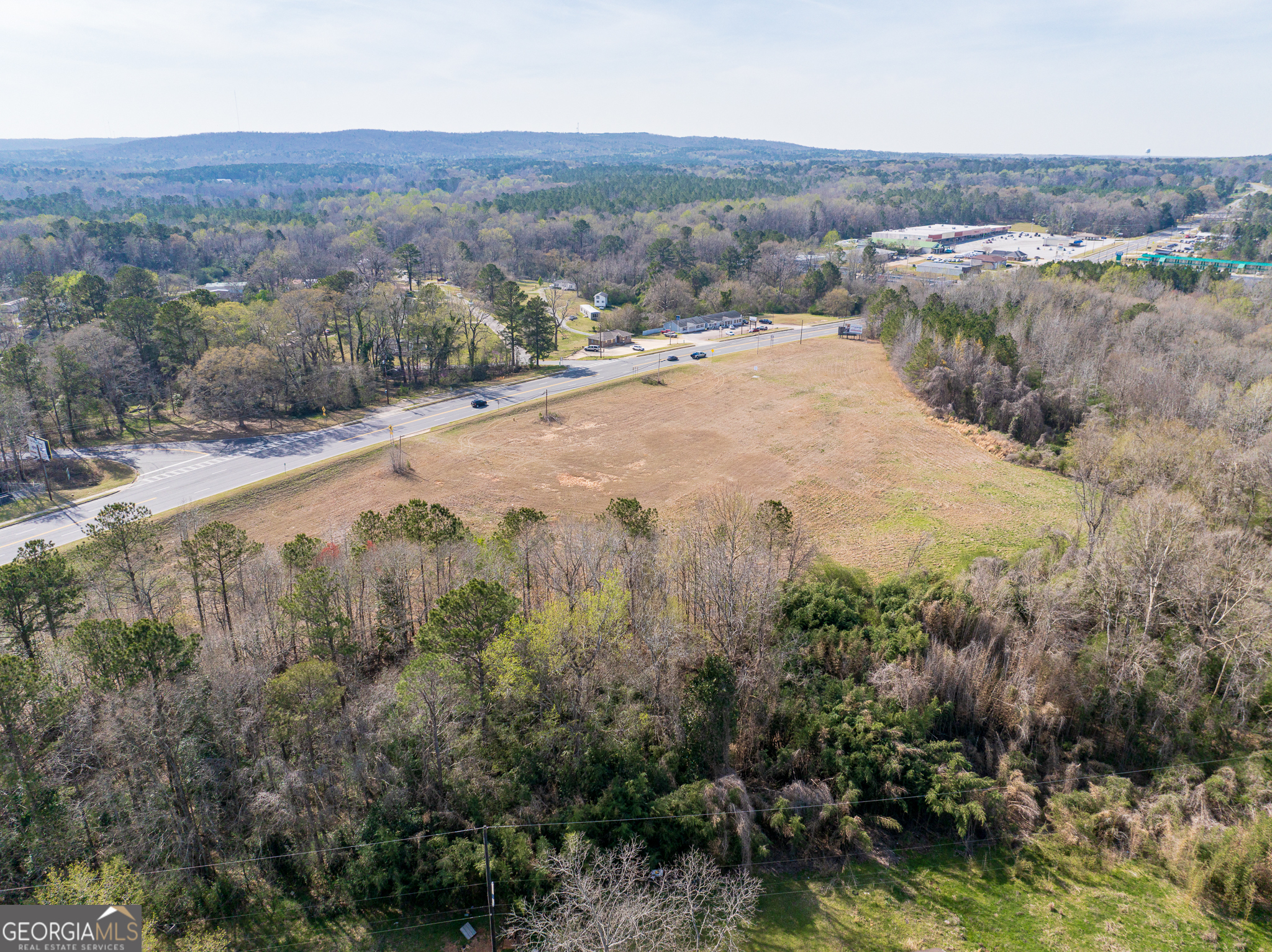 13.27 Acres Roosevelt Highway Manchester GA 31816