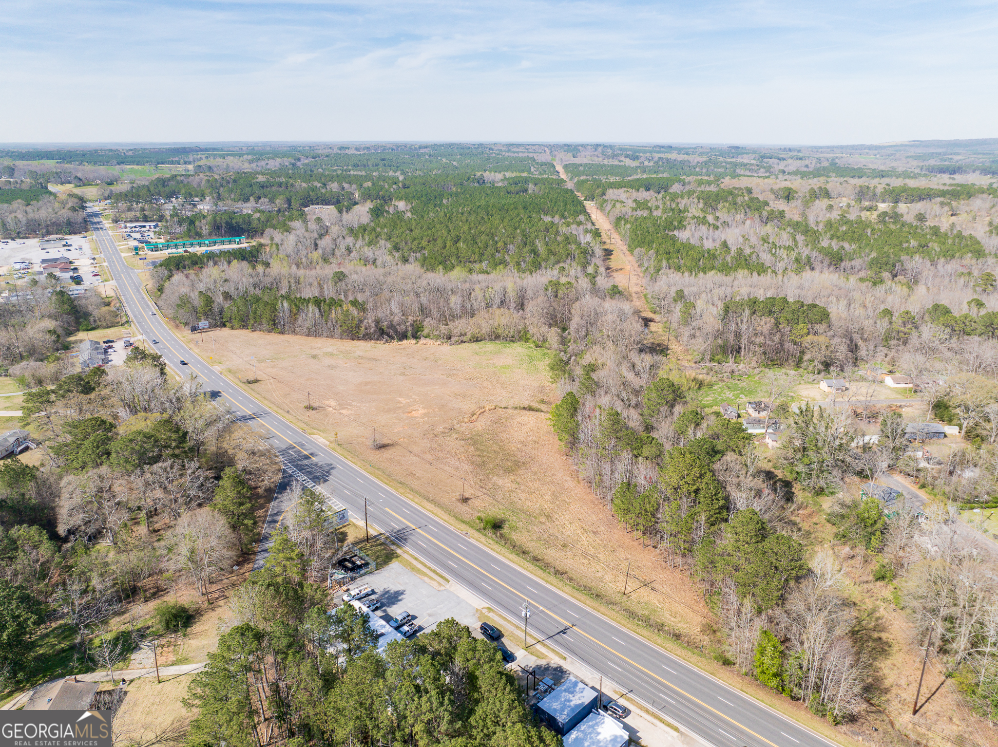 13.27 Acres Roosevelt Highway Manchester GA 31816