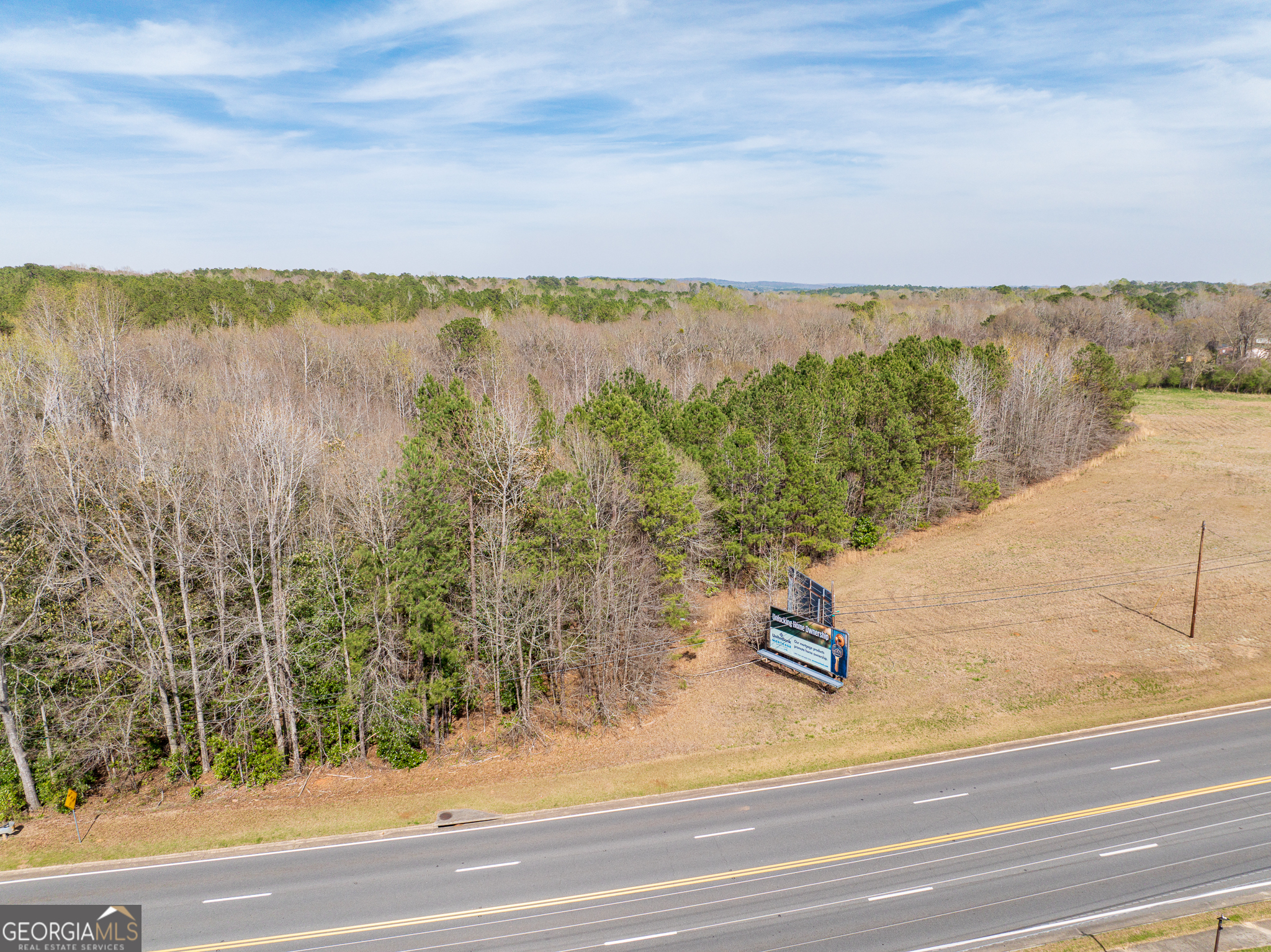 13.27 Acres Roosevelt Highway Manchester GA 31816