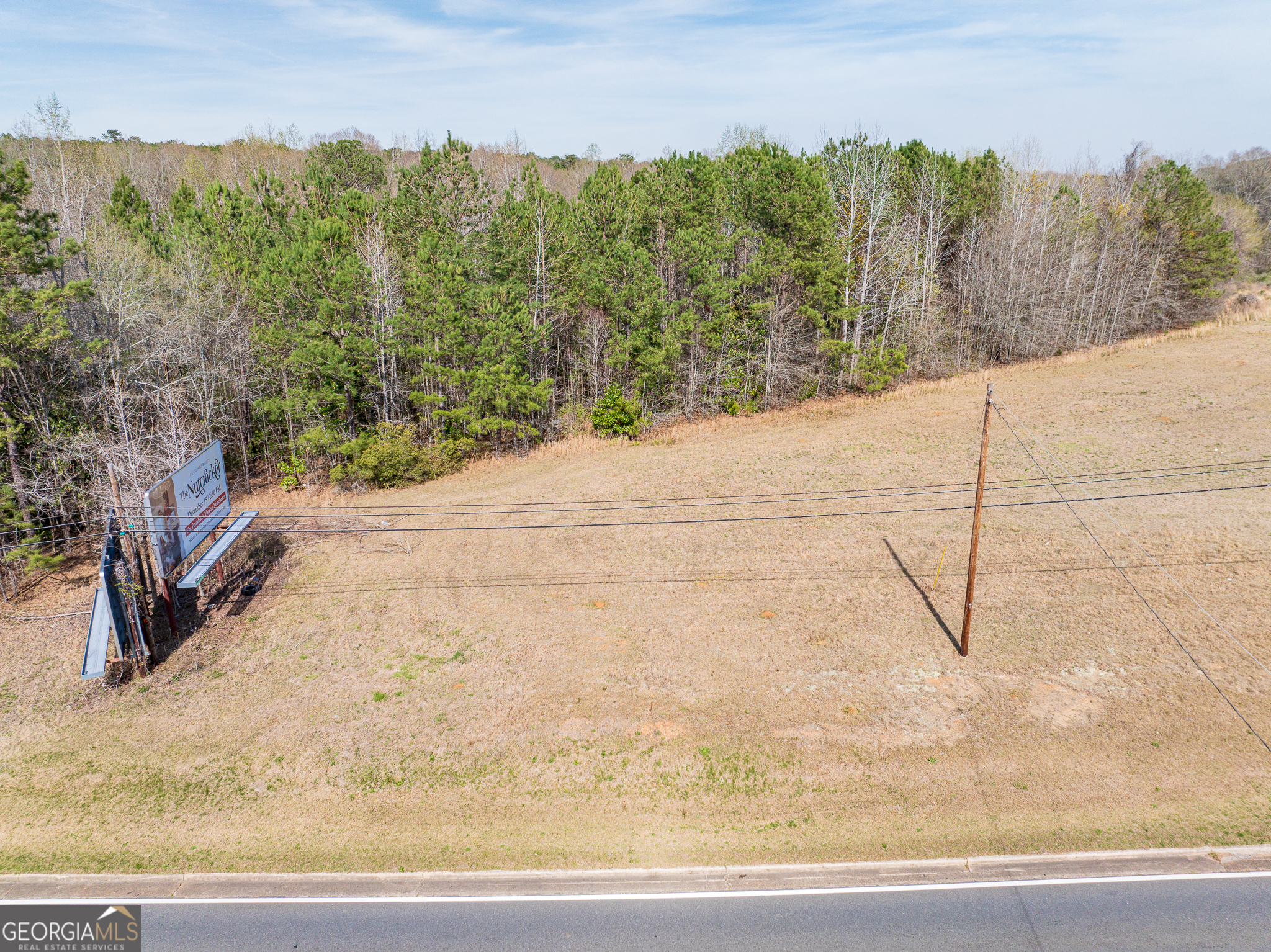 13.27 Acres Roosevelt Highway Manchester GA 31816