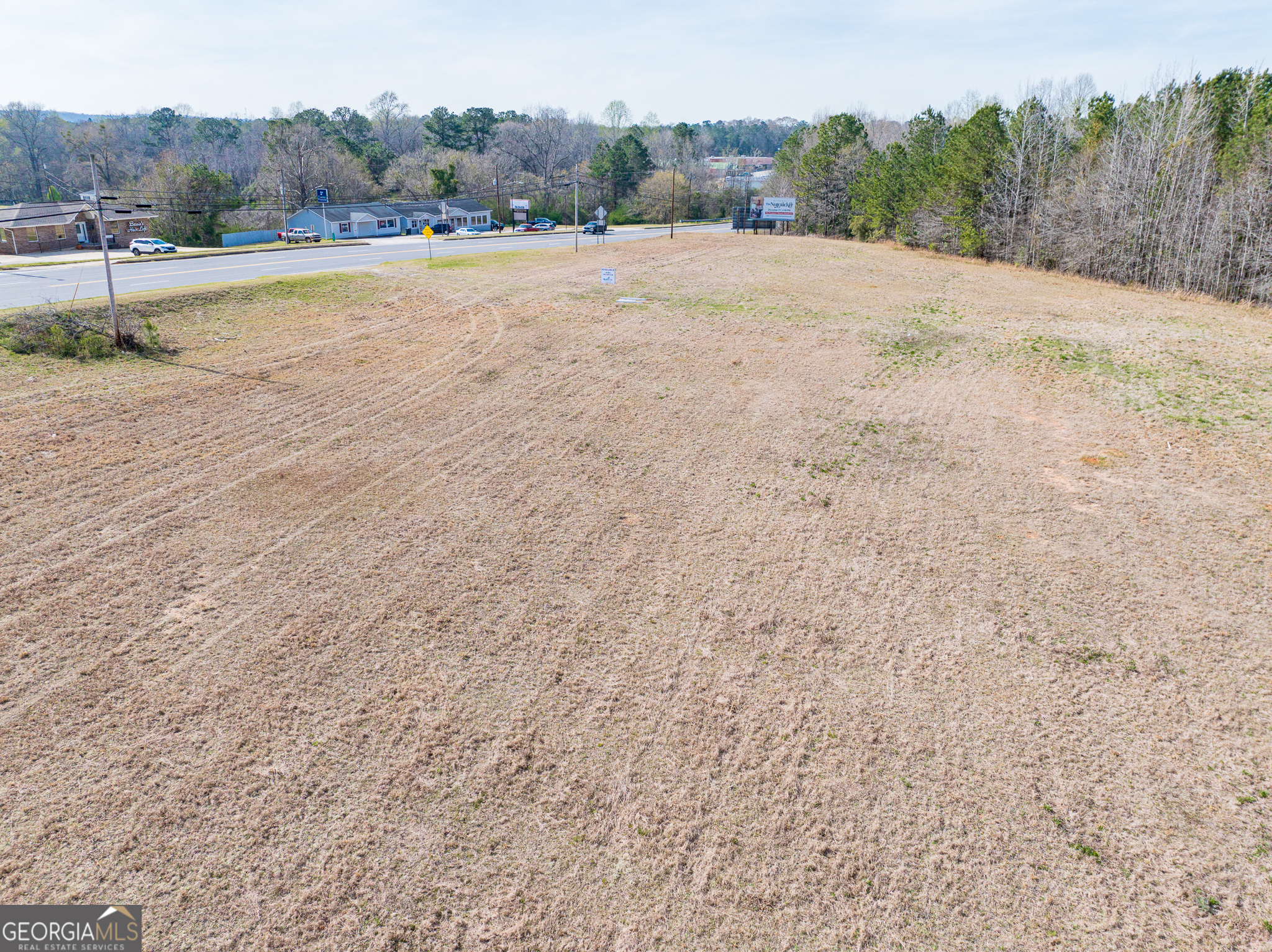 13.27 Acres Roosevelt Highway Manchester GA 31816