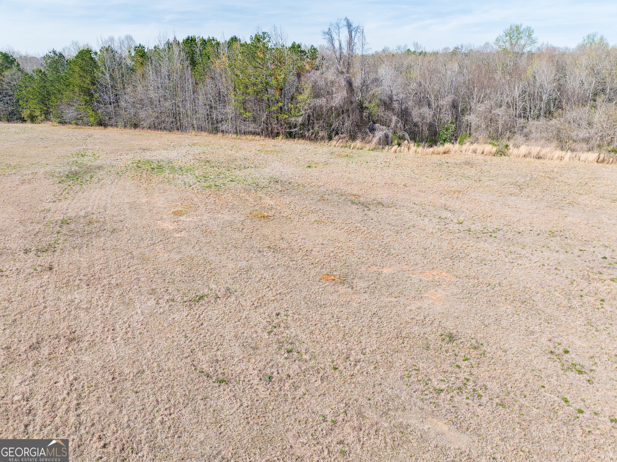 13.27 Acres Roosevelt Highway Manchester GA 31816