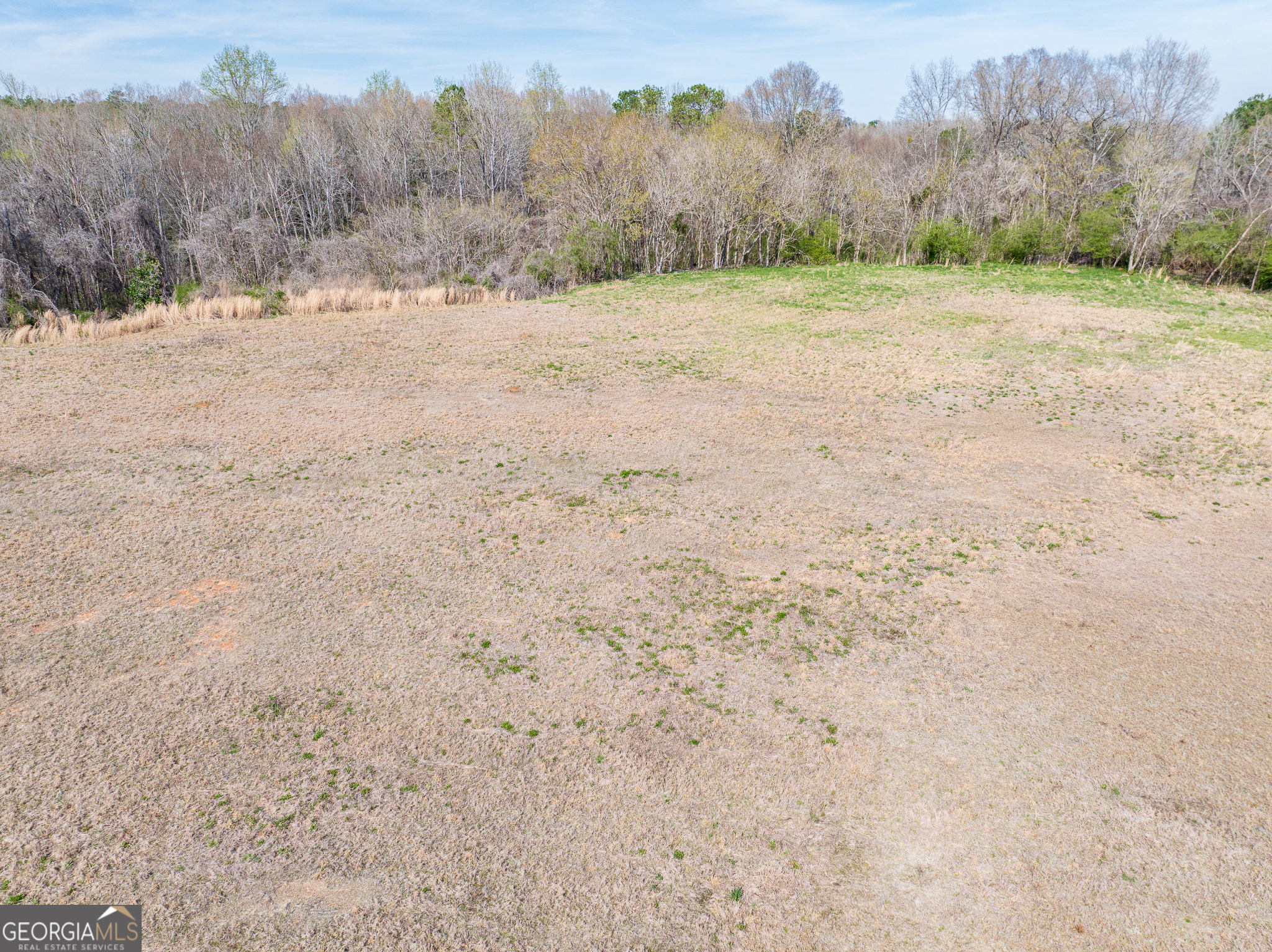 13.27 Acres Roosevelt Highway Manchester GA 31816