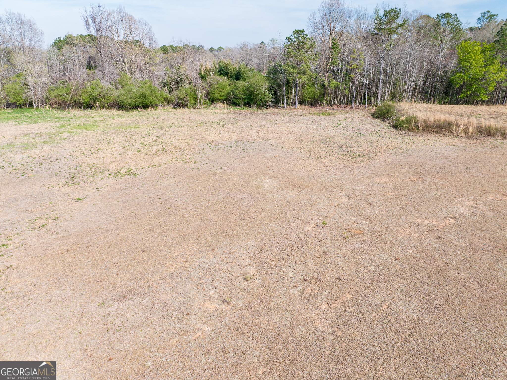 13.27 Acres Roosevelt Highway Manchester GA 31816