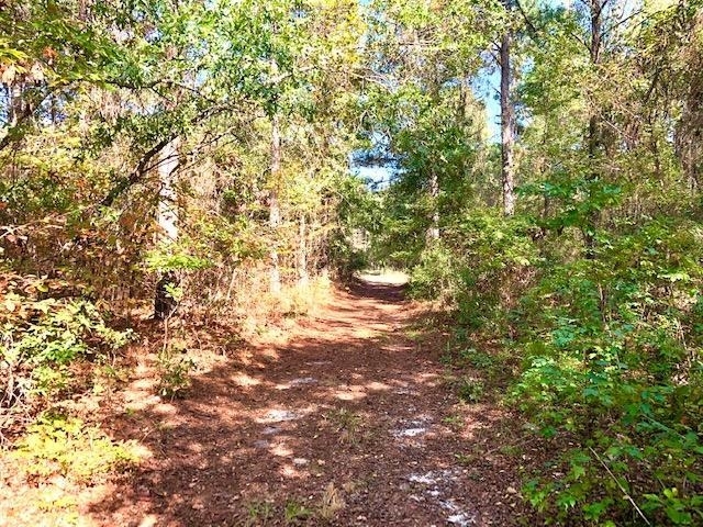3221 Gordon Highway Grovetown GA 30813