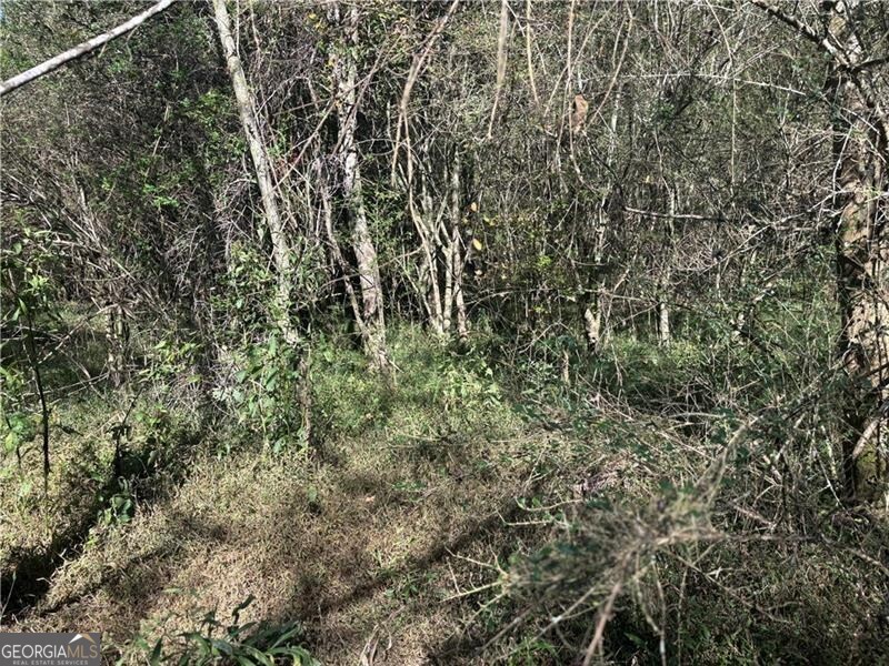 0 Roseberry Lane Murrayville GA 30564