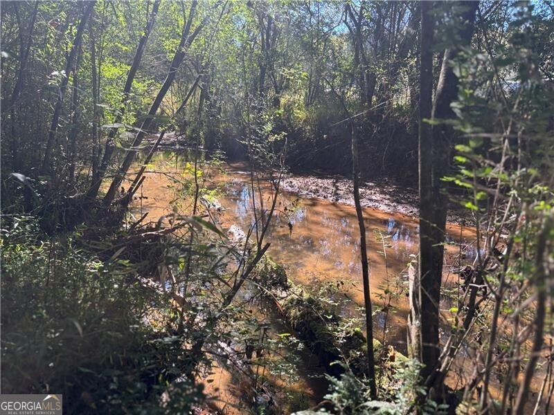 0 Roseberry Lane Murrayville GA 30564