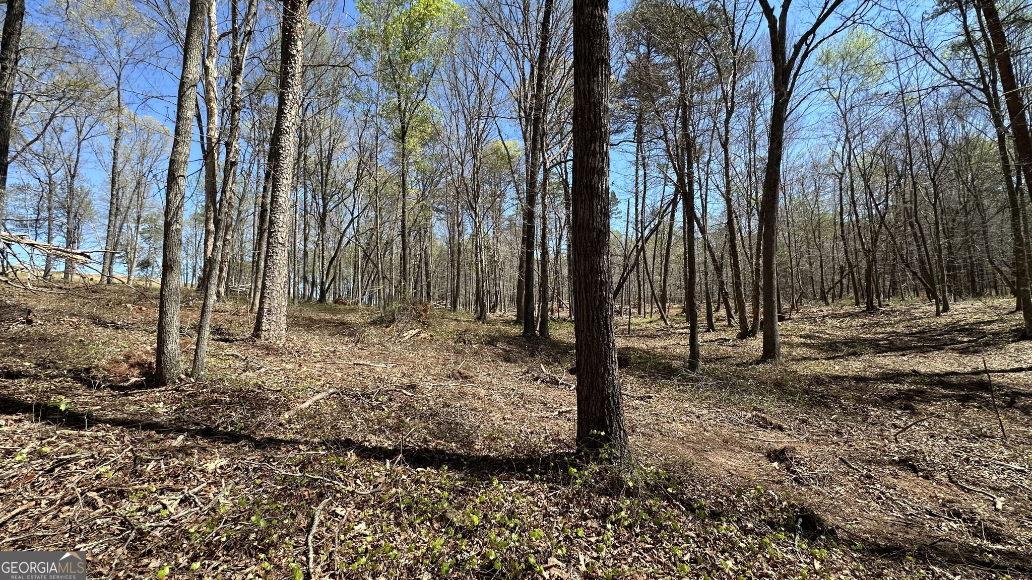 200 Annandale Drive Clarkesville GA 30523