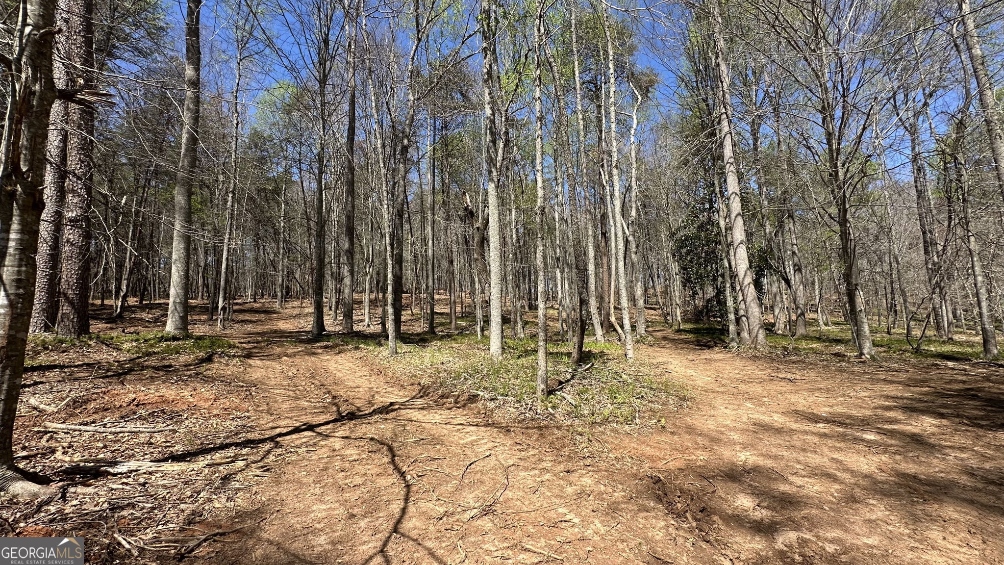 200 Annandale Drive Clarkesville GA 30523