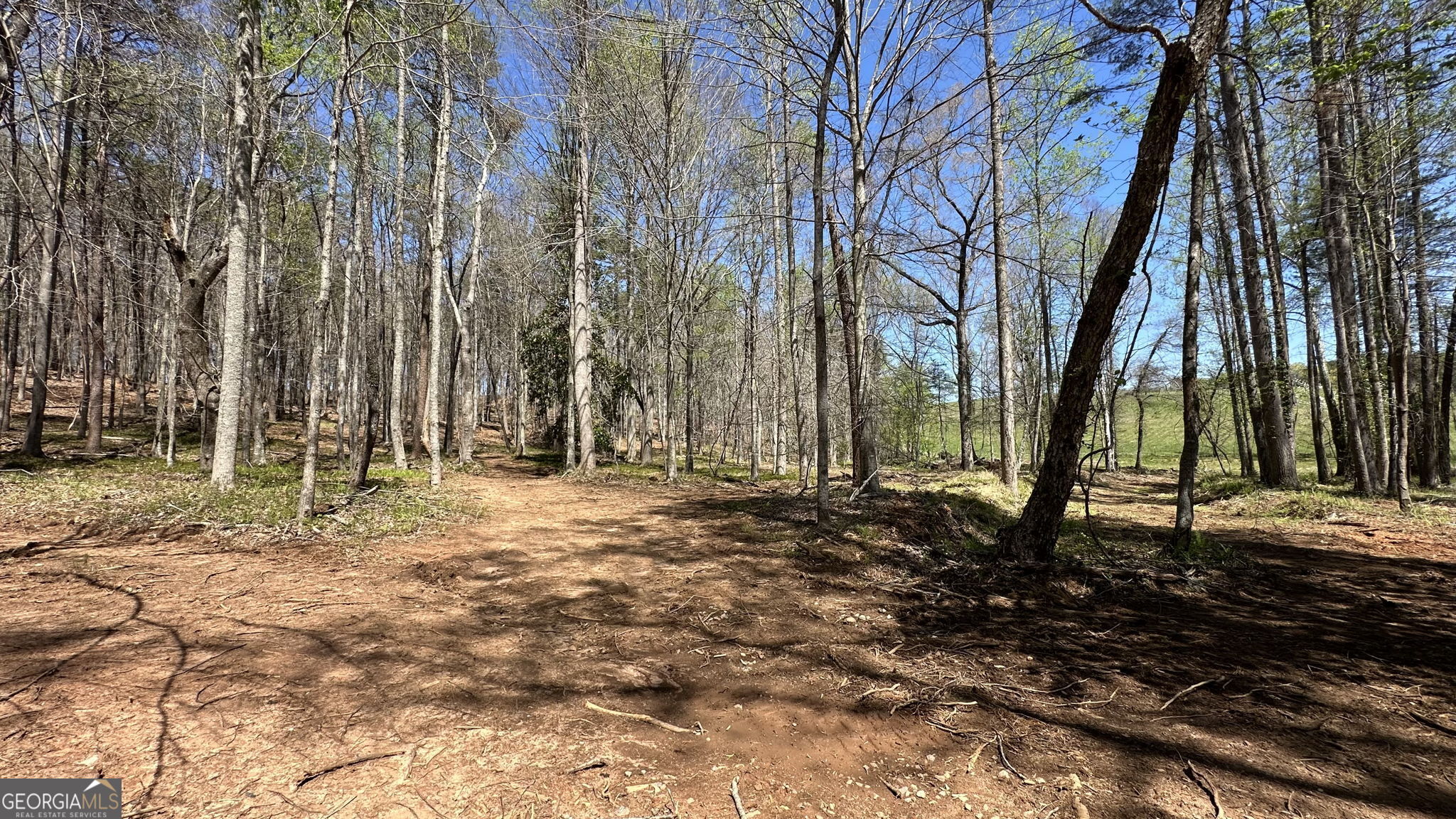200 Annandale Drive Clarkesville GA 30523