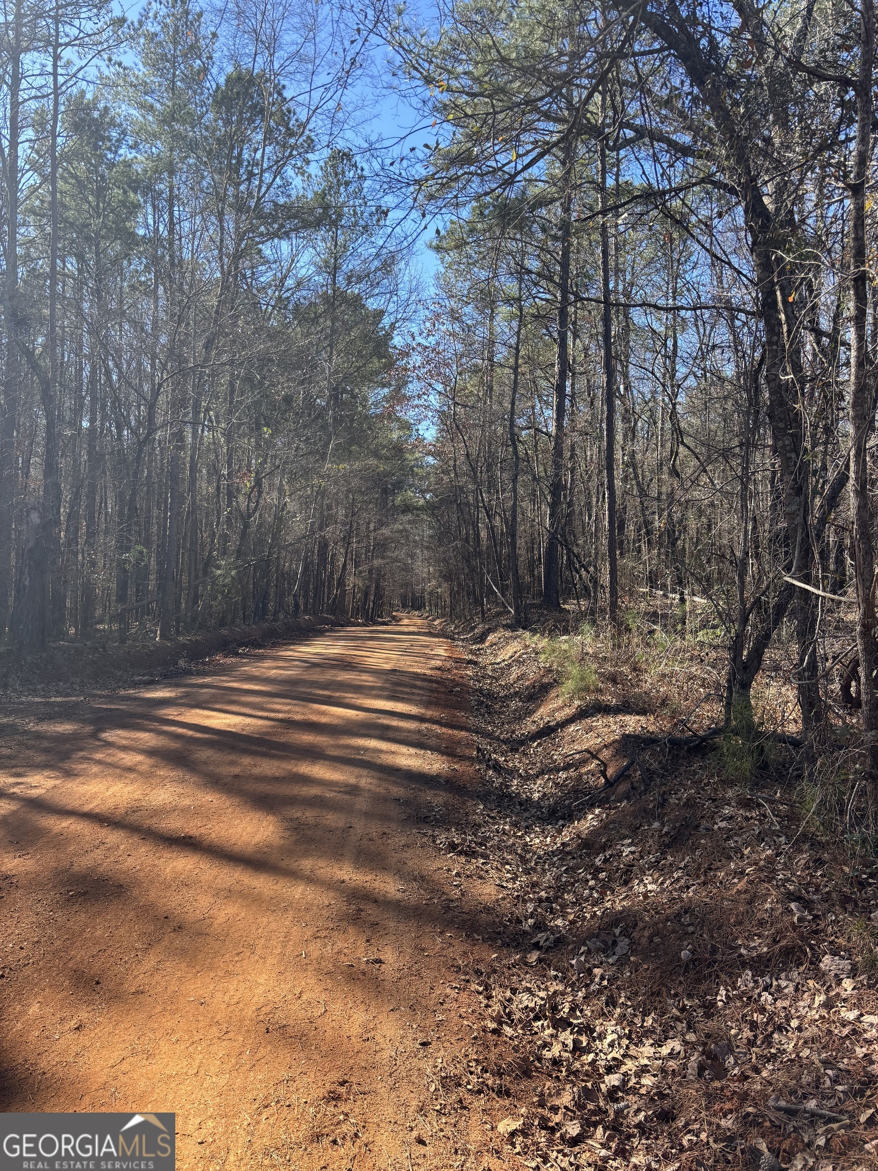 0 Carl Mathis Road Talbotton GA 31827