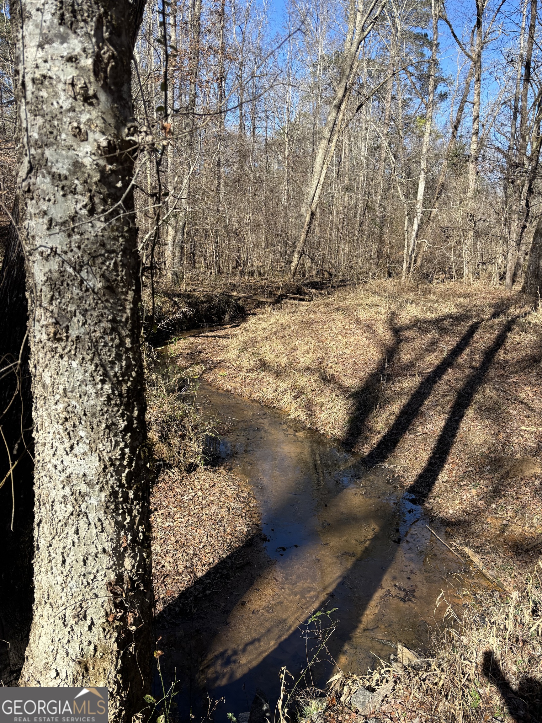 0 Carl Mathis Road Talbotton GA 31827