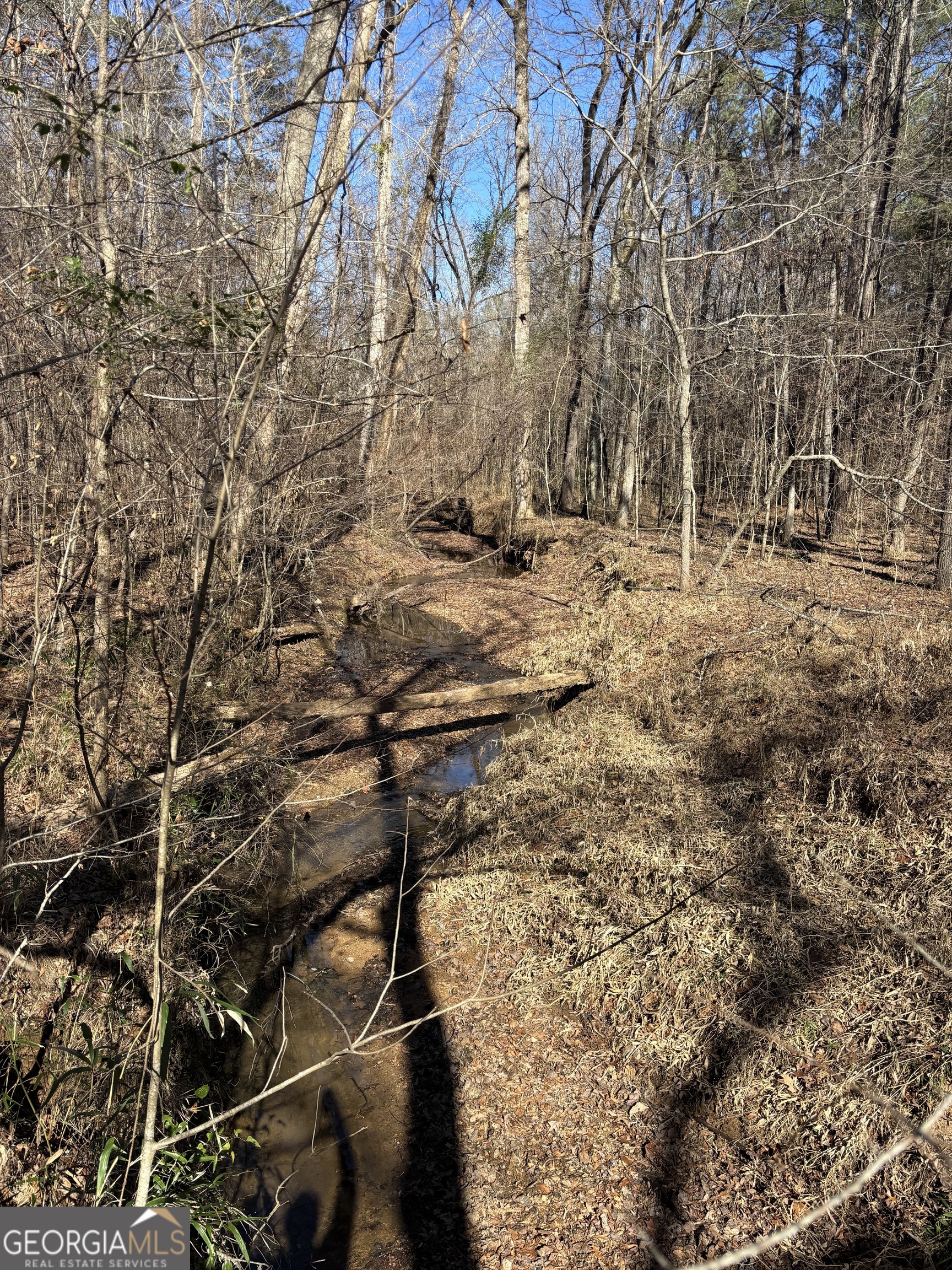 0 Carl Mathis Road Talbotton GA 31827