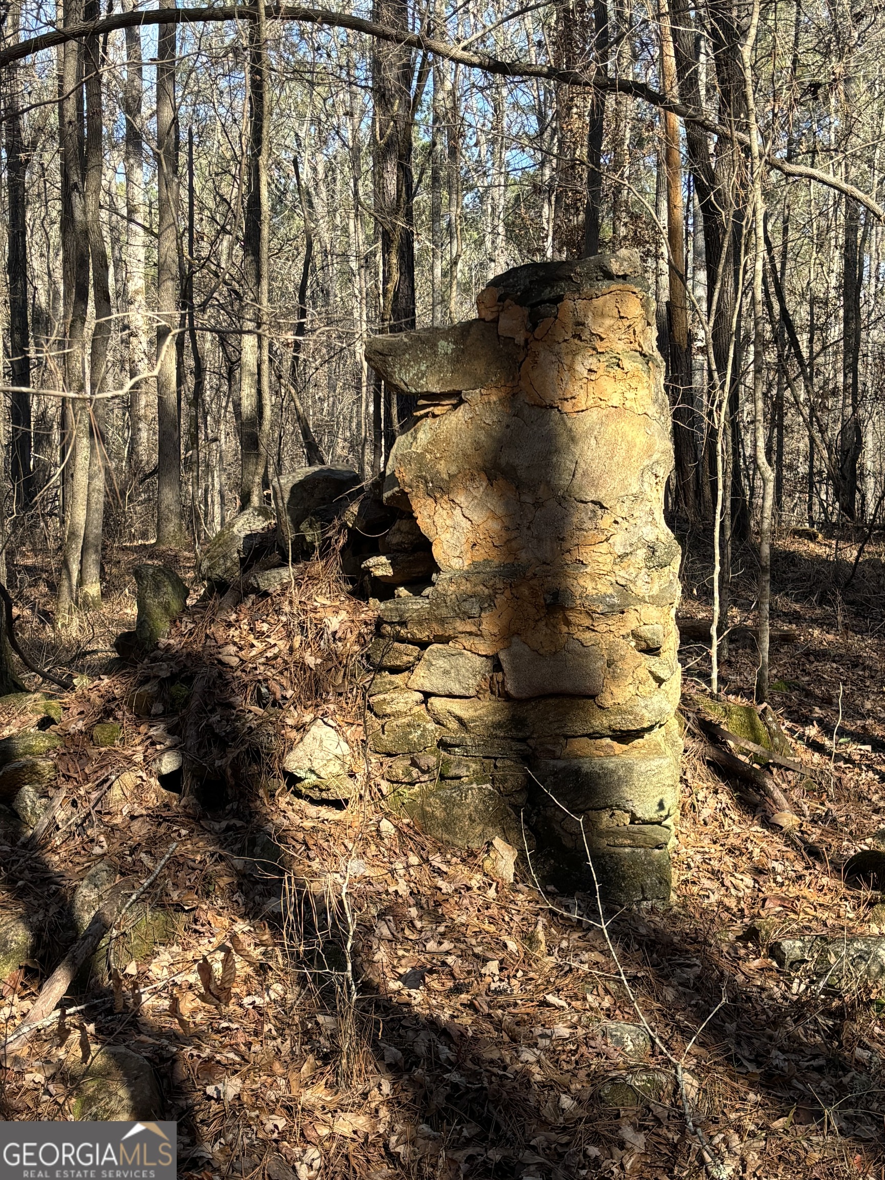 0 Carl Mathis Road Talbotton GA 31827