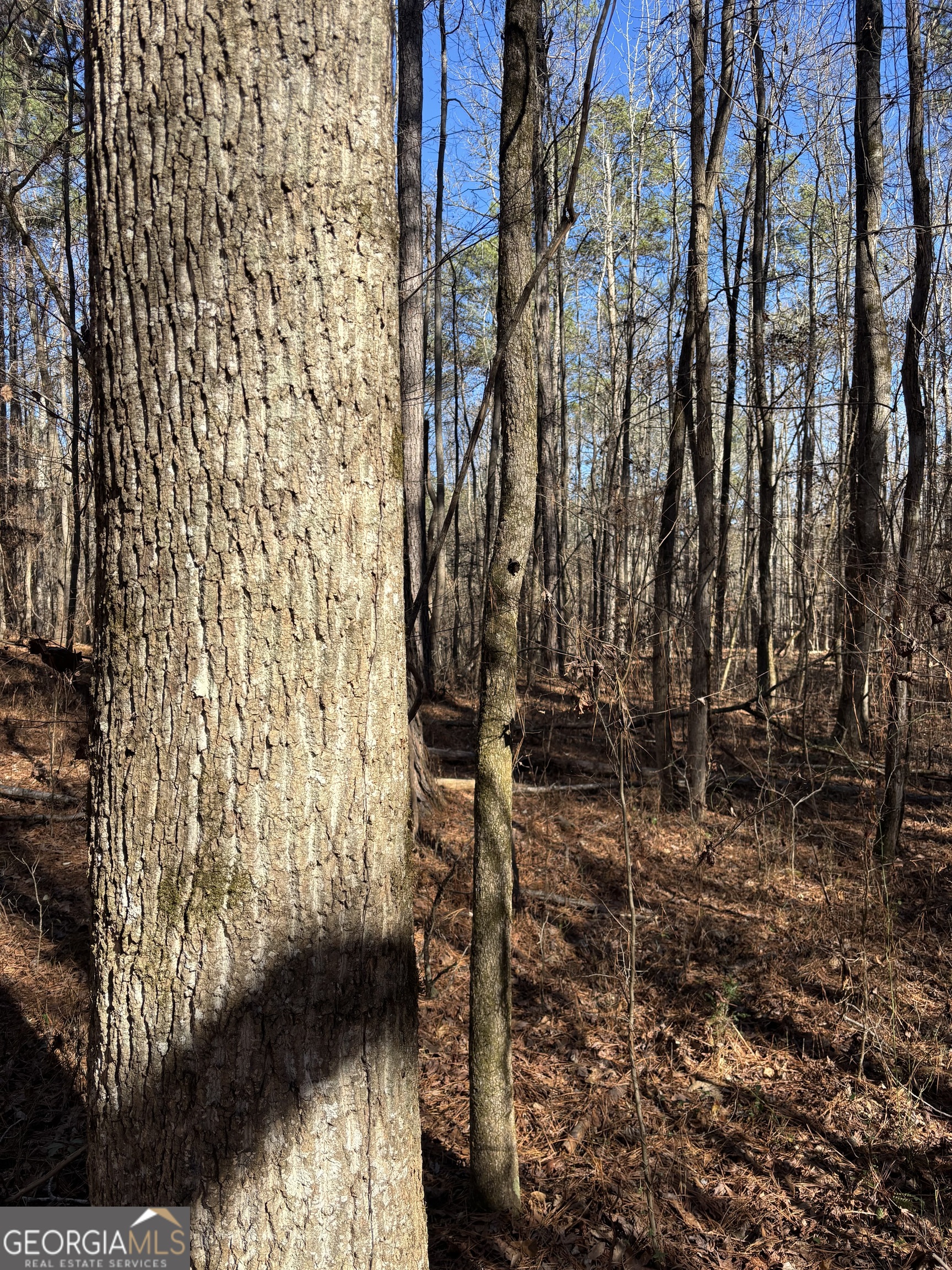 0 Carl Mathis Road Talbotton GA 31827