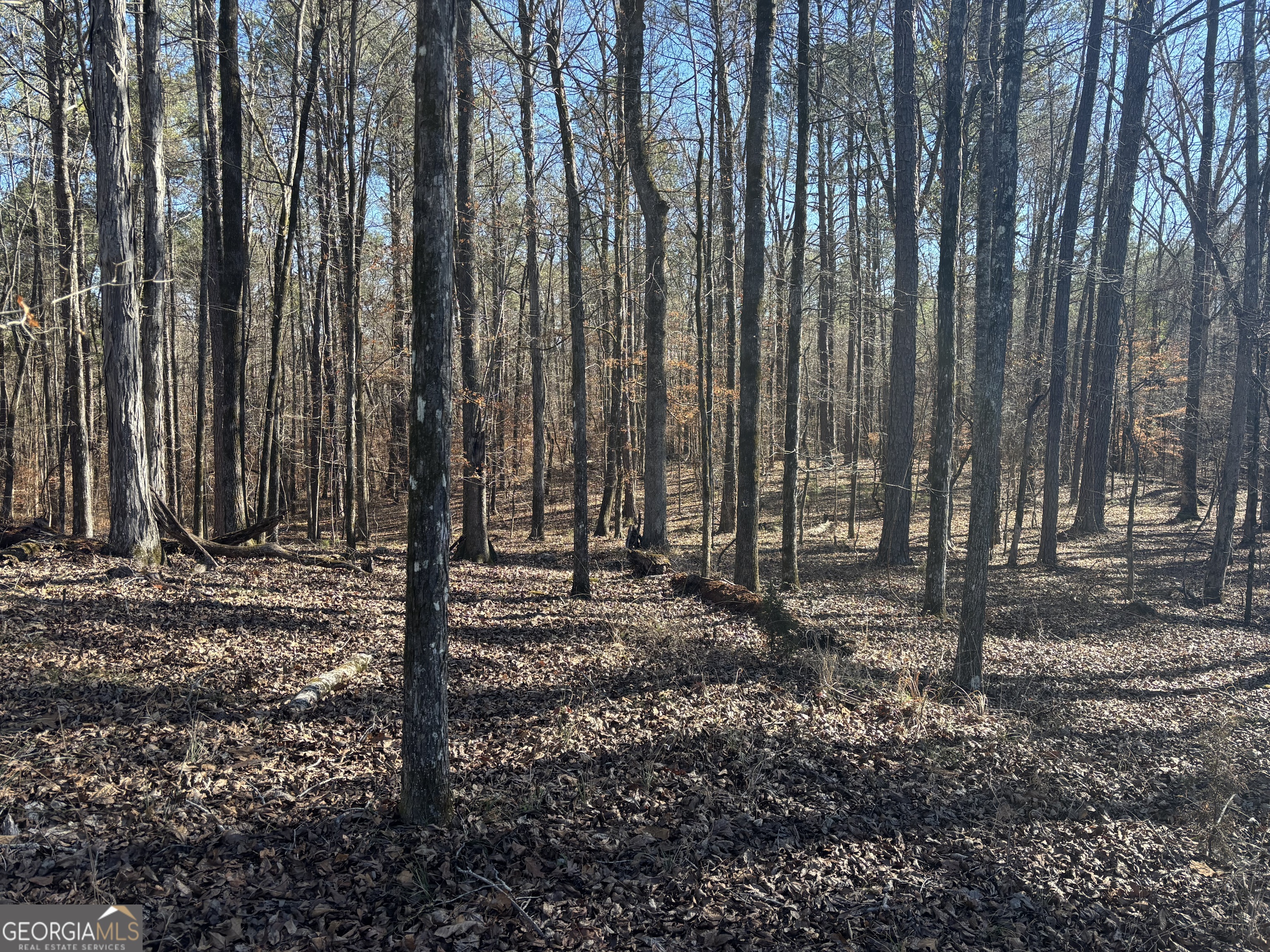 0 Carl Mathis Road Talbotton GA 31827