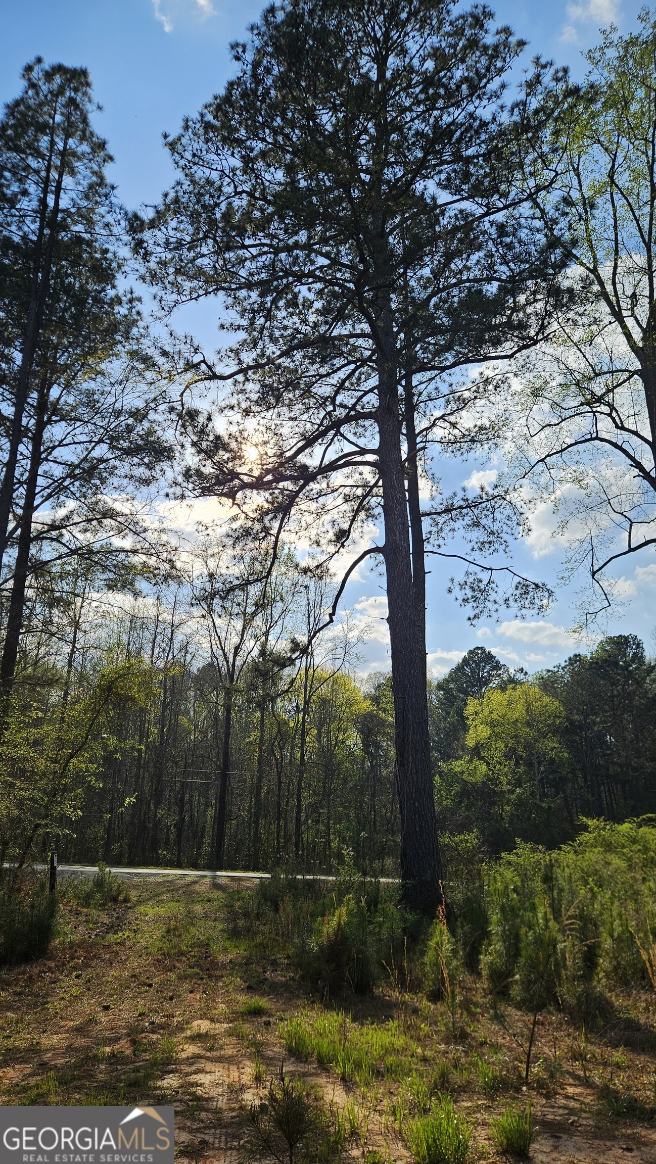 0 Highway 15 Greensboro GA 30642