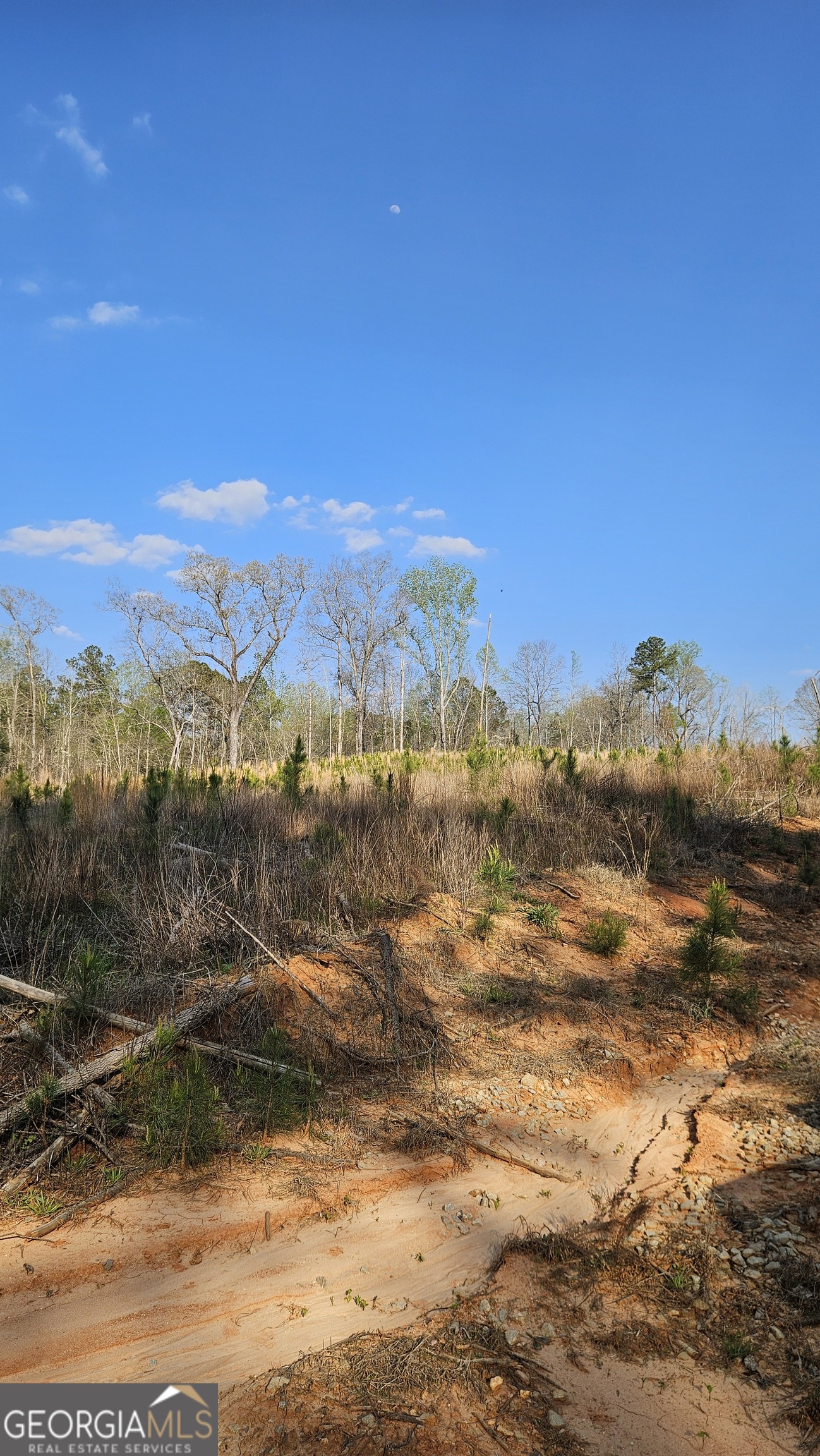 0 Highway 15 Greensboro GA 30642