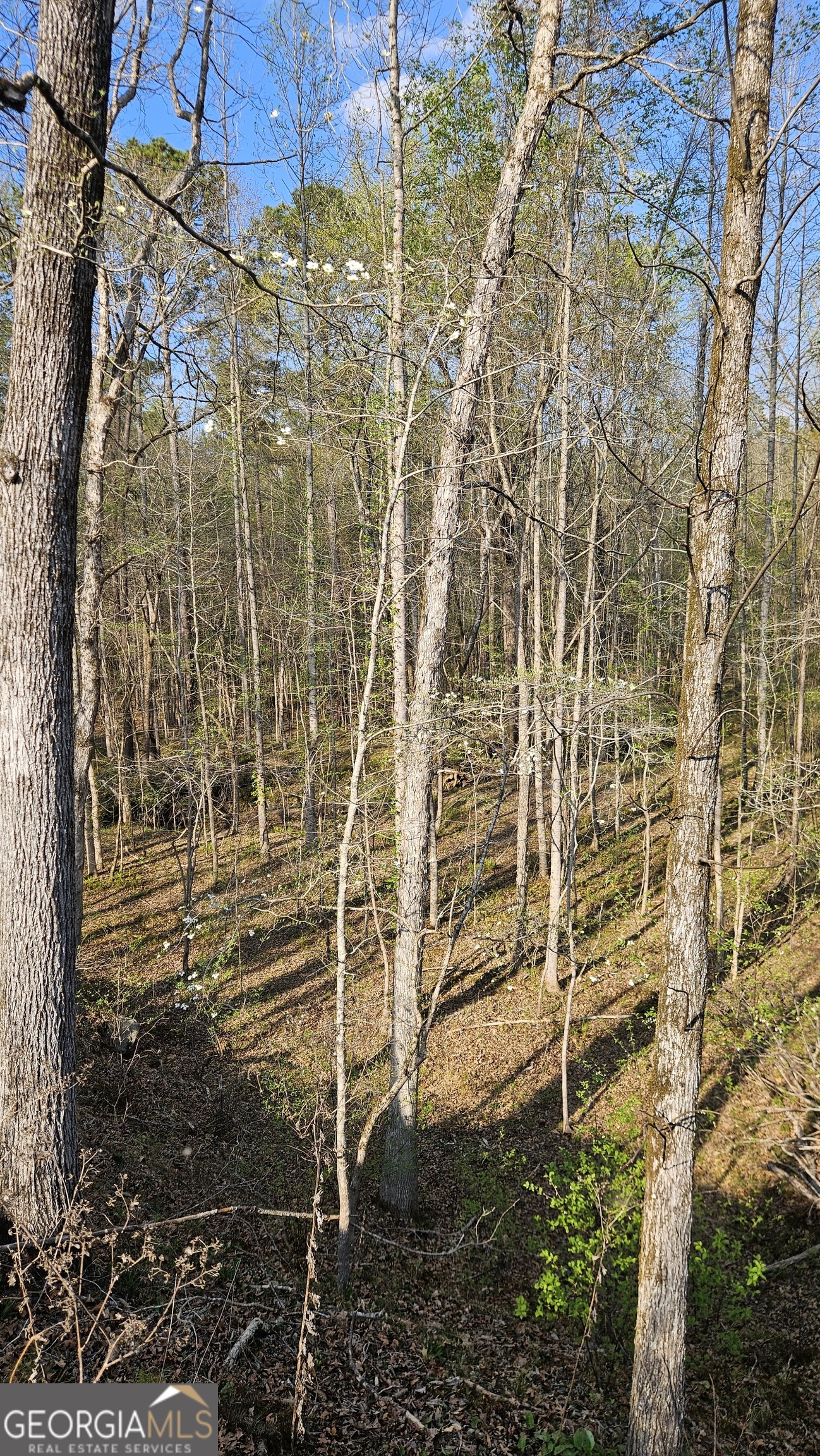 0 Highway 15 Greensboro GA 30642