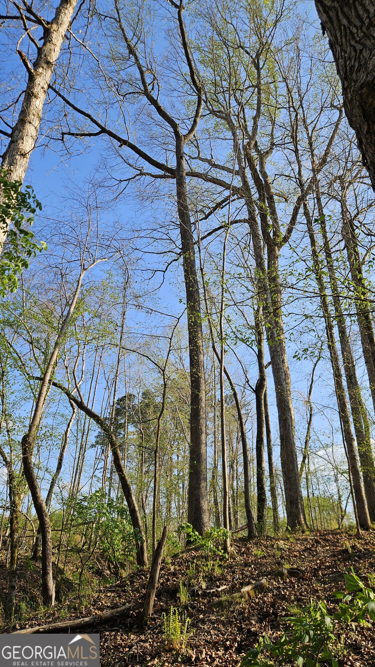 0 Highway 15 Greensboro GA 30642