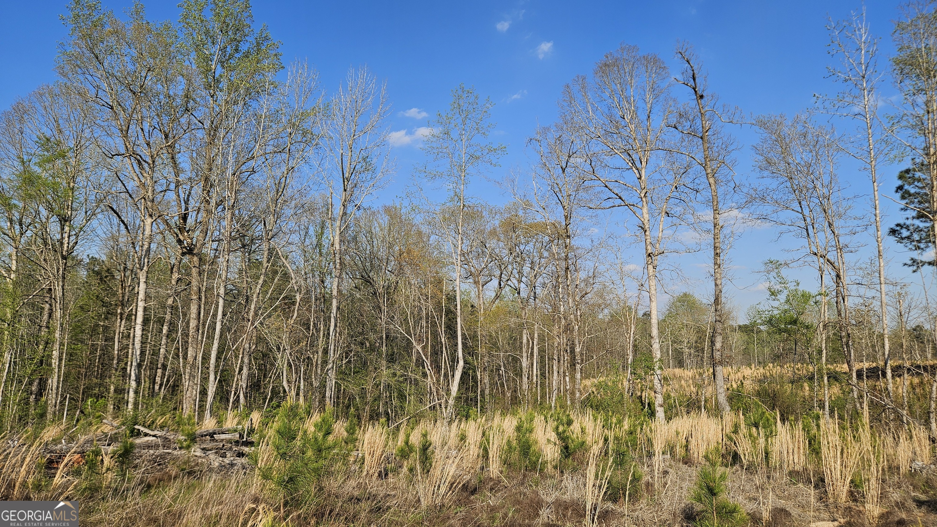 0 Highway 15 Greensboro GA 30642