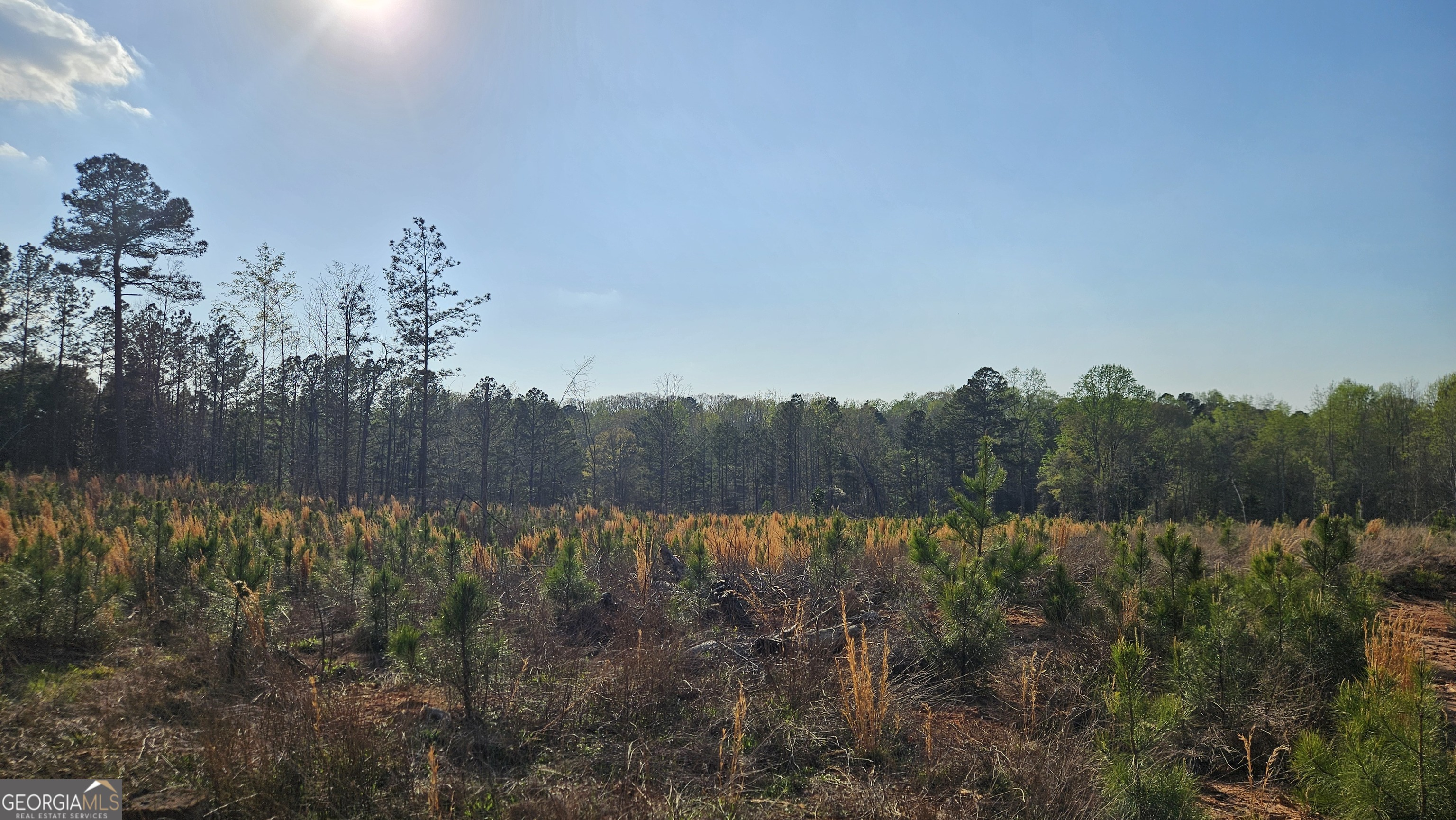 0 Highway 15 Greensboro GA 30642