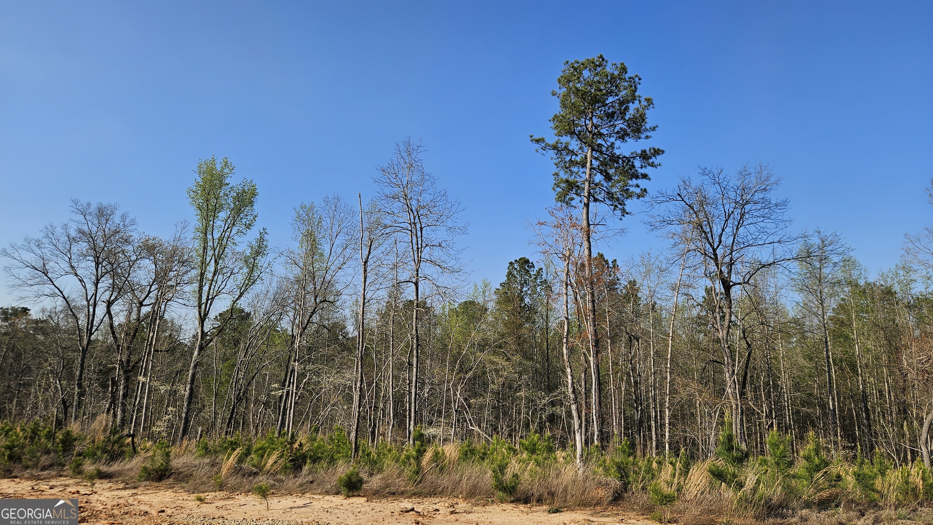 0 Highway 15 Greensboro GA 30642